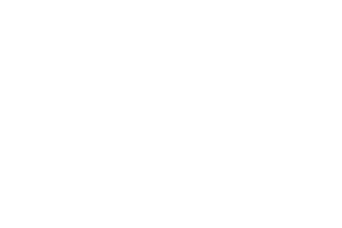 Vulnerability Assessments